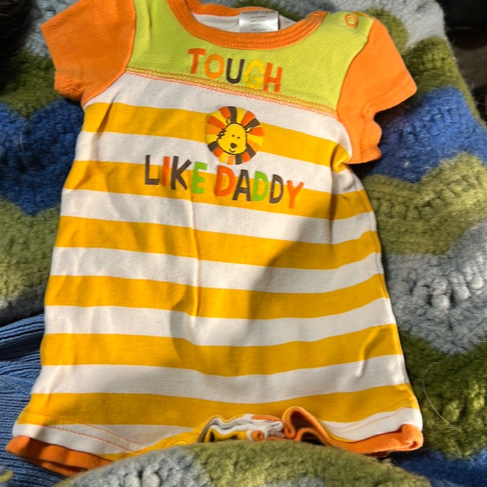 Slight used multi color with a lion 2 month